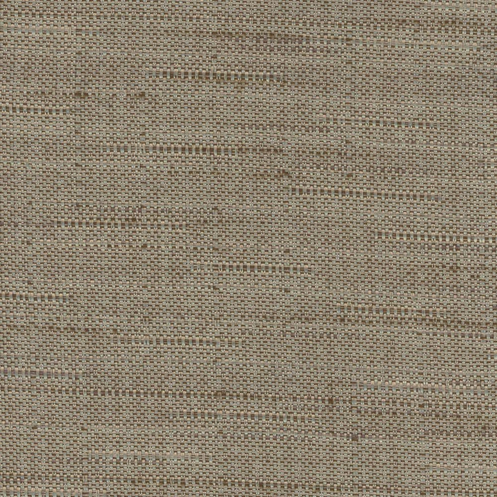 Banksville Mushroom by Carole Designer Fabric Bigelow 100% Polyester Mexico Passes 18,000 Double Rubs Wyzenbeek Horizontal: 0 and Vertical: 0 54 - Swanky Fabrics -
