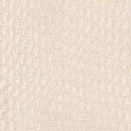 Fleeting Ballerina by Carole Designer Fabric Royale 100% Polyester India None 54" - Swanky Fabrics -
