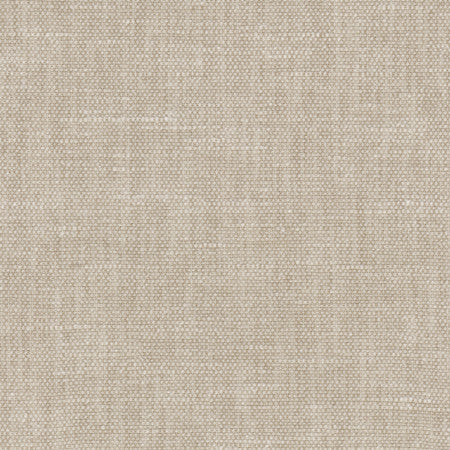 <p>Bessarion Feather by Carole Designer Fabric</p><p><strong>Required Minimum Quantity Purchase: 2 yards</strong></p><p>Book: Prominence,Desert Sands</p><p>Content: 71% Polyester, 29% Cotton</p><p>Origin: </p><p>Performance: 15,000 Wyzenbeek Double Rubs</p><p>Repeat: None</p><p>Width: 55"</p>