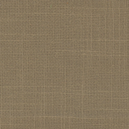 Prophet Mushroom by Carole Designer Fabric Prominence 79% Cotton, 21% Polyester India None 55" - Swanky Fabrics -