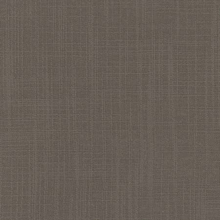 Lets Be Real Pewter by Carole Designer Fabric See It Through 100% Recycled Polyester India 50,000 Wyzenbeek Double Rubs None 54" - Swanky Fabrics -