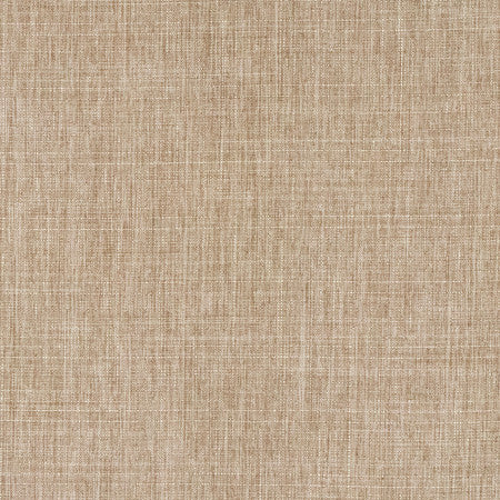 Intention Sahara by Carole Designer Fabric Head Start,Power Play 100% Polyester 25,000 Wyzenbeek Double Rubs None 54" - Swanky Fabrics -