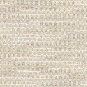 Ready To Rumble Travertine by Carole Designer Fabric