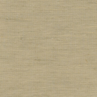 Lydia Mineral by Carole Designer Fabric Lydia,Lydia II 100% Polyester Fr India N/A </p><p>Repeat: None 54" - Swanky Fabrics -