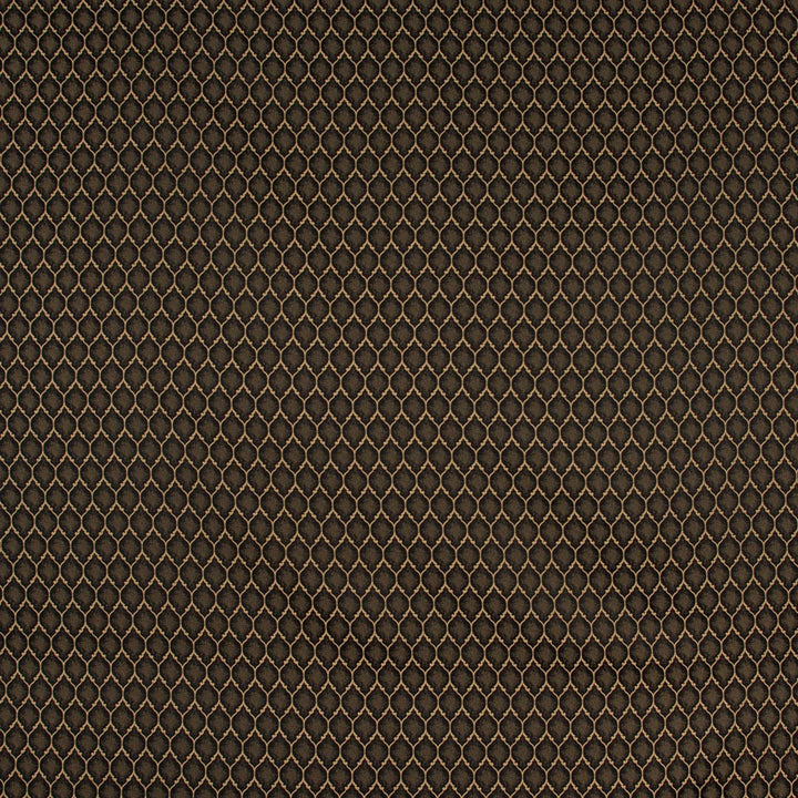 Girls Night Out Onyx by Carole Designer Fabric Winner'S Circle 100% Polyester Turkey Passes 15,000 Double Rubs Wyzenbeek Horizontal: 15 and Vertical: 25 55 - Swanky Fabrics -