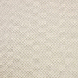 Contemplation Ivory by Carole Designer Fabric