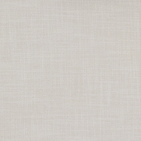 Biophile Froth by Carole Designer Fabric Reclamation 66% Recycled Polyester, 34% Cationic 50,000 Wyzenbeek Double Rubs None 54" - Swanky Fabrics -
