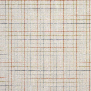 Boxes Of Joy Vintage by Carole Designer Fabric