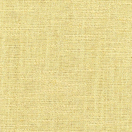 Warden Parmesan by Carole Designer Fabric Sunbaked 90% Polyester, 10% Linen CHINA None 55" - Swanky Fabrics -