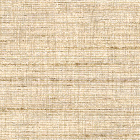 Tabletop Papyrus by Carole Designer Fabric Abode 100% Polyester India 30,000 Wyzenbeek Double Rubs None 54.75" - Swanky Fabrics -