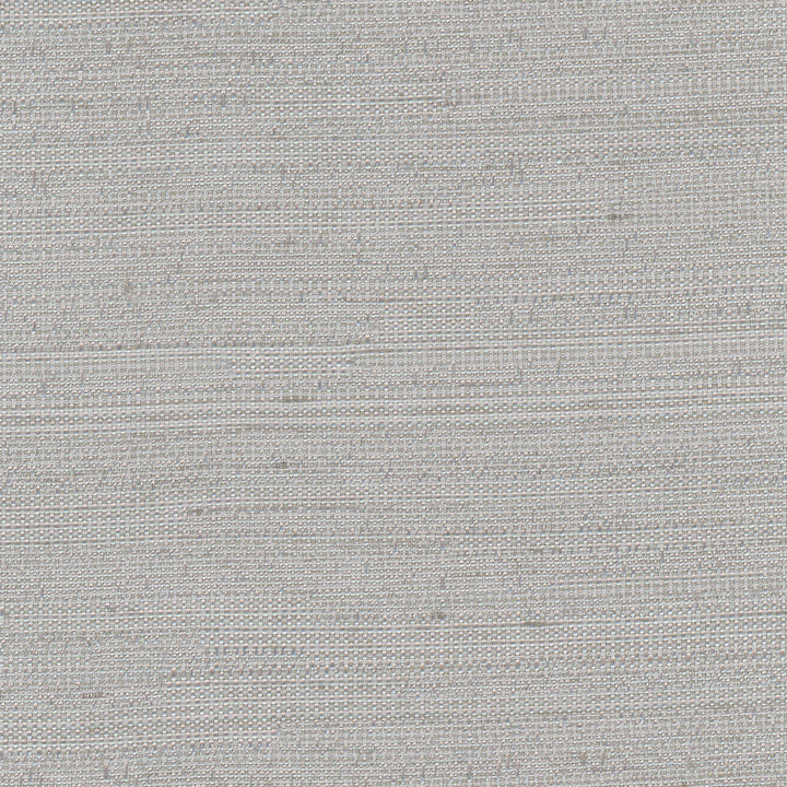 Aiden Pearl Grey by Carole Designer Fabric Pewter 100% Polyester India N/A Horizontal: 0 and Vertical: 0 54 - Swanky Fabrics -