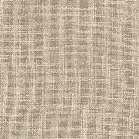 As Always Stone by Carole Designer Fabric See It Through 100% Polyester Turkey N/A None 55.5" - Swanky Fabrics -