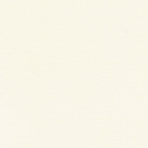Comfort Chamois by Carole Designer Fabric