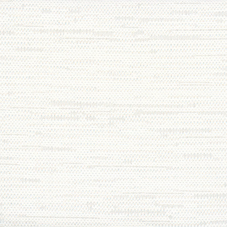 Cliff Top White by Carole Designer Fabric Excursion 66% Polyester, 34% Cotton India 36,000 Wyzenbeek Double Rubs None 56" - Swanky Fabrics -