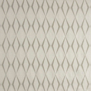 Double Take Silver by Carole Designer Fabric