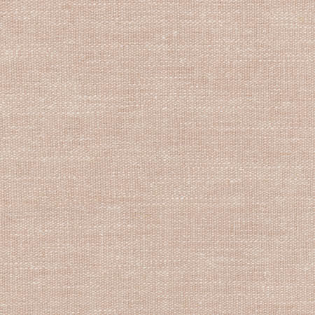Carpenter Rosewater by Carole Designer Fabric Sunbaked 46% Cotton, 35% Polyester, 10% Linen, 9% Viscose INDIA None 55" - Swanky Fabrics -