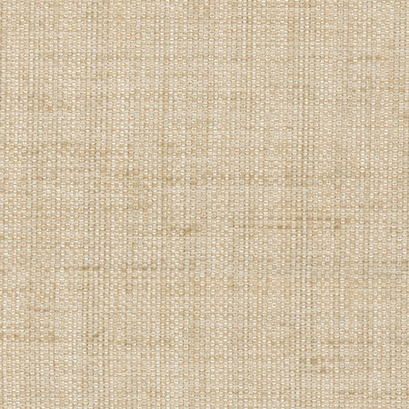 Breather Linen by Carole Designer Fabric Synchrony 100% Polyester Turkey 30,000 Wyzenbeek Double Rubs </p><p>Repeat: None 54" - Swanky Fabrics -