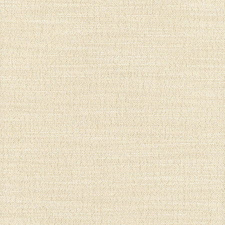 Say Yes Twilight by Carole Designer Fabric WINNER'S CIRCLE 78% Polyester, 22% Viscose India N/A Horizontal: None and Vertical: None 55" - Swanky Fabrics -