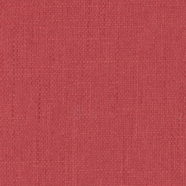 Commencement Fruit Punch by Carole Designer Fabric Commencement 100% Polyester-SSWR, Anti-Microbial Taiwan 50,000 Wyzenbeek Double Rubs Horizontal: 0 and Vertical: 0 56 - Swanky Fabrics -