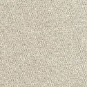 Total Dream Pewter by Carole Designer Fabric