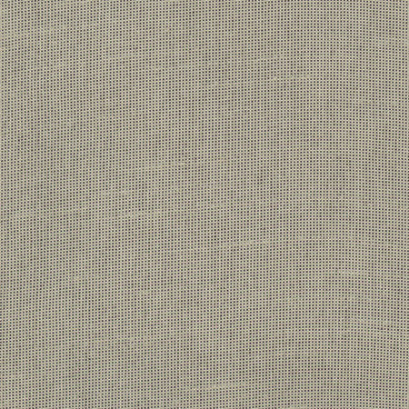 Fleeting Pebble by Carole Designer Fabric Royale 100% Polyester India Passes 50,000 Double Rubs Wyzenbeek Horizontal: None and Vertical: None 54" - Swanky Fabrics -