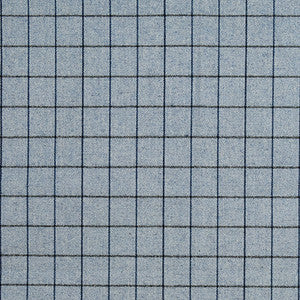 Divided Space Denim by Carole Designer Fabric