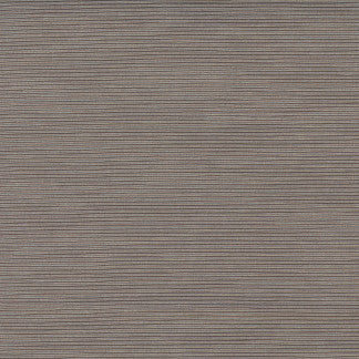 First Novel Cement by Carole Designer Fabric STATIONERY 72% Rayon, 28% Polyester China Passes 30,000 Double Rubs Wyzenbeek </p><p>Repeat: None 55" - Swanky Fabrics -
