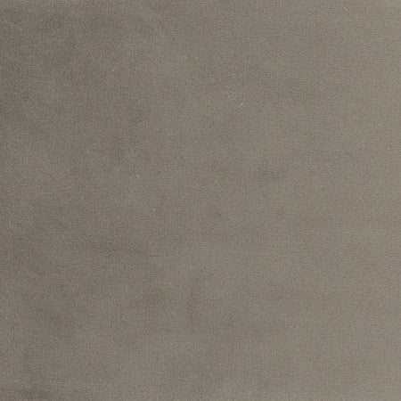 Plush Touch Charcoal by Carole Designer Fabric Touch Of Luxury 100% Polyester Knit Backing China 235,000 Wyzenbeek Double Rubs None 55" - Swanky Fabrics -