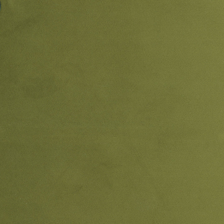 Plush Touch Avocado by Carole Designer Fabric Touch Of Luxury 100% Polyester Knit Backing China 235,000 Wyzenbeek Double Rubs Horizontal: 0 and Vertical: 0 55 - Swanky Fabrics -