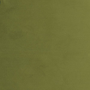 Plush Touch Avocado by Carole Designer Fabric