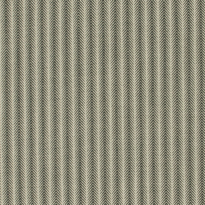Citiscape Charcoal by Carole Designer Fabric Park Cities 100% Polyester China Passes 15,000 Double Rubs Wyzenbeek Horizontal: 1 and Vertical: 25 56 - Swanky Fabrics -
