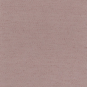 Fact Finder Orchid by Carole Designer Fabric