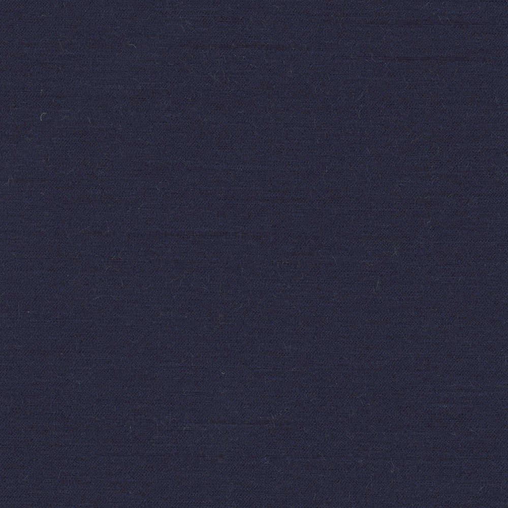 Northwind Atlantic by Carole Designer Fabric New Northwind Iv 100% Polyester India Passes 9,000 Double Rubs Wyzenbeek Horizontal: 0 and Vertical: 0 54 - Swanky Fabrics -