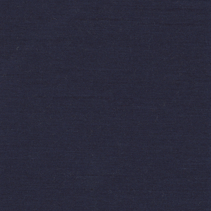 Northwind Atlantic by Carole Designer Fabric New Northwind Iv 100% Polyester India Passes 9,000 Double Rubs Wyzenbeek Horizontal: 0 and Vertical: 0 54 - Swanky Fabrics -