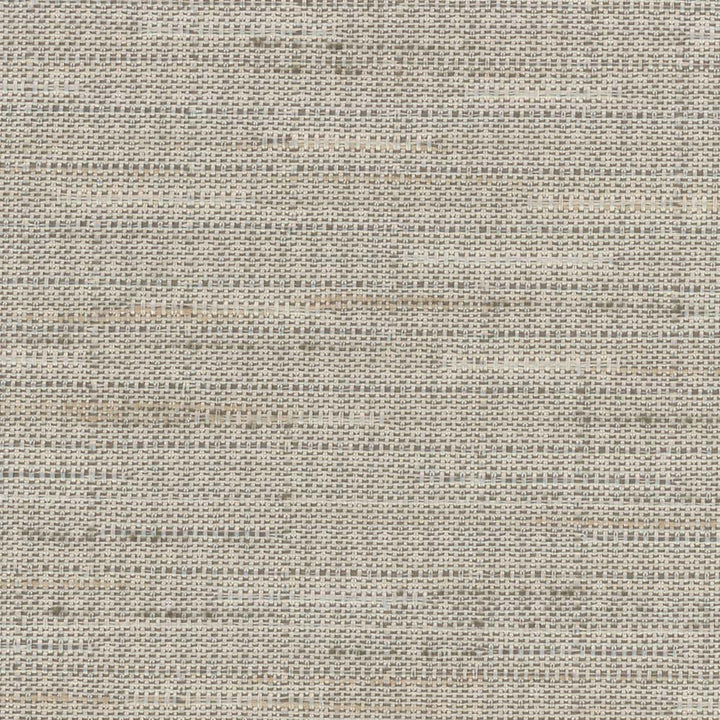 Banksville Mouse by Carole Designer Fabric Bigelow 100% Polyester Mexico Passes 18,000 Double Rubs Wyzenbeek Horizontal: 0 and Vertical: 0 54 - Swanky Fabrics -