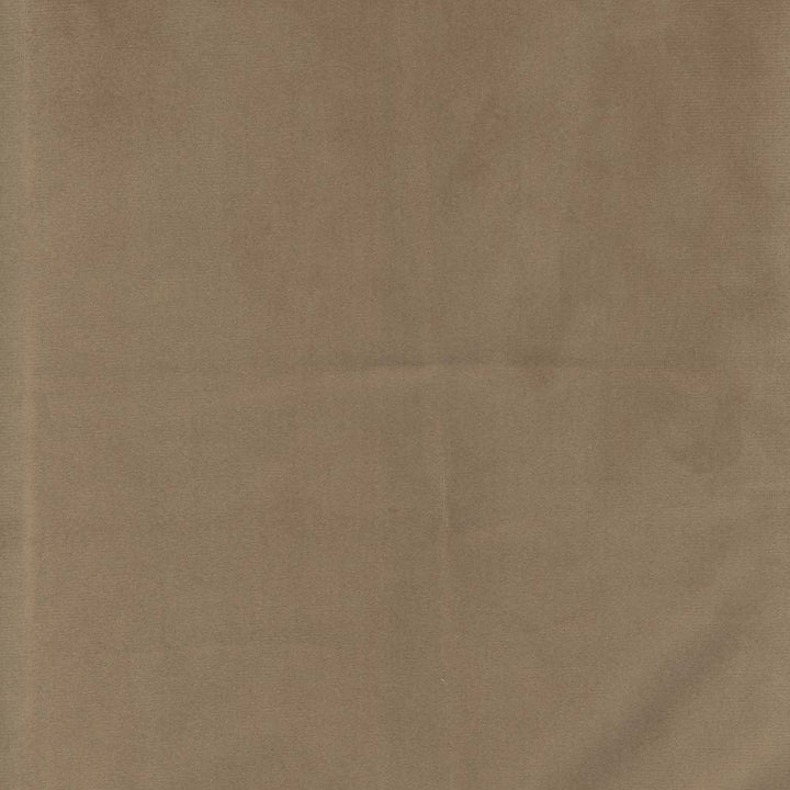 Presence Khaki by Carole Designer Fabric Velvet Touch 100% Polyester China Passes 30,000 Double Rubs Wyzenbeek Horizontal: 0 and Vertical: 0 55 - Swanky Fabrics -