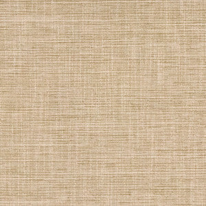 Big Thinker Toast by Carole Designer Fabric