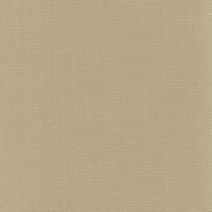 Daydreamer Linen by Carole Designer Fabric Daydreaming 100% Cotton- Soil Release USA Passes 30,000 Double Rubs Wyzenbeek Horizontal: 0 and Vertical: 0 54 - Swanky Fabrics -