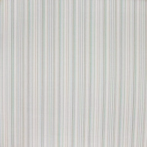 Picolo Stripe Spa by Carole Designer Fabric