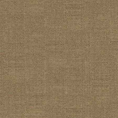Cortland Coffee by Carole Designer Fabric Gala 100% Polyester India None 54.75" - Swanky Fabrics -