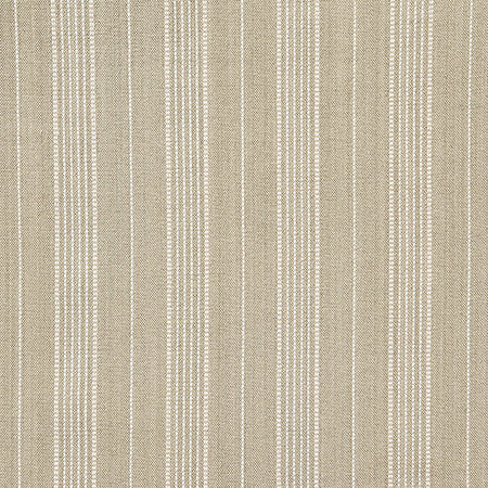 Stage Lights Canvas by Carole Designer Fabric In The Details 100% Cotton India 3" H 54" - Swanky Fabrics -