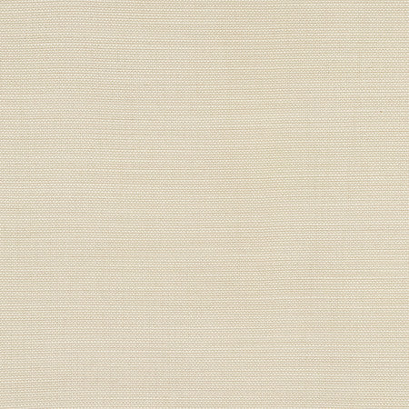 Boardroom Cotton by Carole Designer Fabric Power Play 100% IFR Hybrid Polyester 25,000 Wyzenbeek Double Rubs None 54" - Swanky Fabrics -