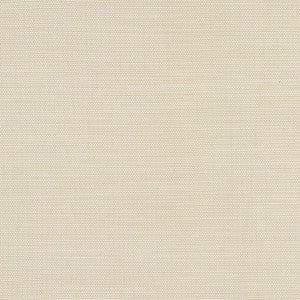 Boardroom Cotton by Carole Designer Fabric