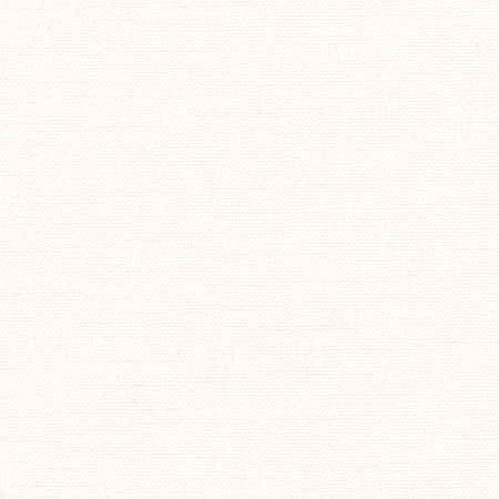 Liberty White by Carole Designer Fabric Liberty,Liberty II 100% Polyester India None 54" - Swanky Fabrics -