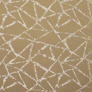 Into Focus Coffee by Carole Designer Fabric