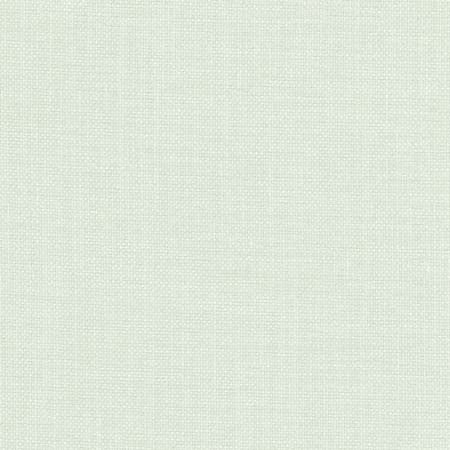 Liberty Mint by Carole Designer Fabric Liberty,Liberty II 100% Polyester India None 54" - Swanky Fabrics -
