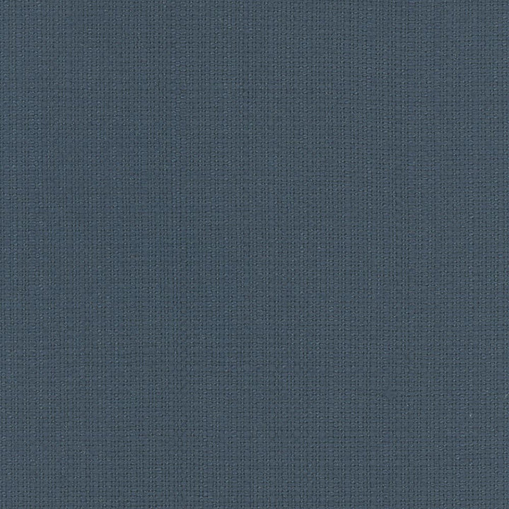 Narration Azure by Carole Designer Fabric Narrator 100% Polyester Mexico Passes 30,000 Double Rubs Wyzenbeek Horizontal: 0 and Vertical: 0 54 - Swanky Fabrics -