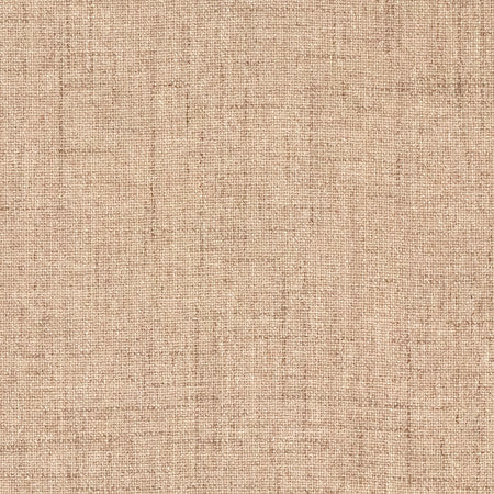 Gusto Musk by Carole Designer Fabric Power Play 100% Polyester N/A None 55" - Swanky Fabrics -