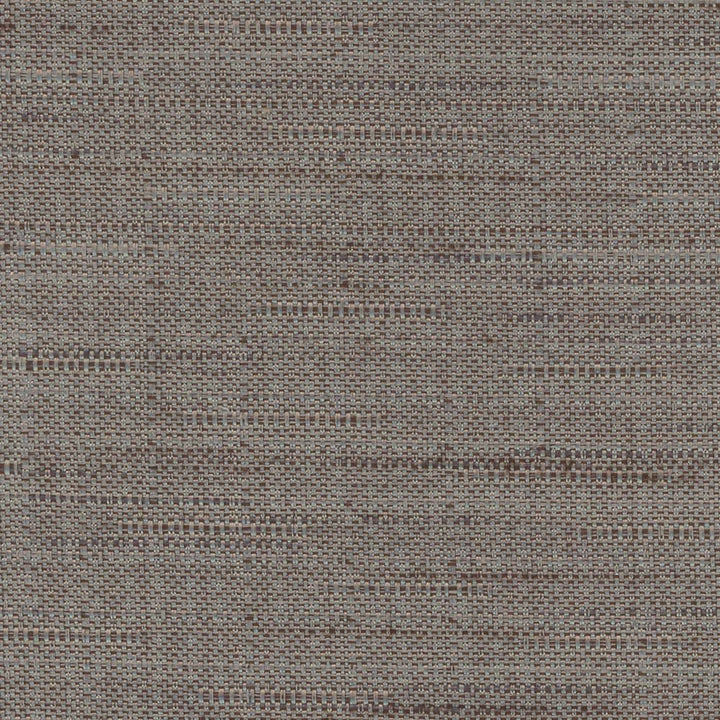 Banksville Flint by Carole Designer Fabric Bigelow 100% Polyester Mexico Passes 18,000 Double Rubs Wyzenbeek Horizontal: 0 and Vertical: 0 54 - Swanky Fabrics -