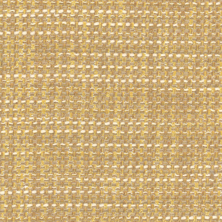Endurance Biscotti by Carole Designer Fabric Head Start 100% Polyester IFR Hybrid India None 54" - Swanky Fabrics -